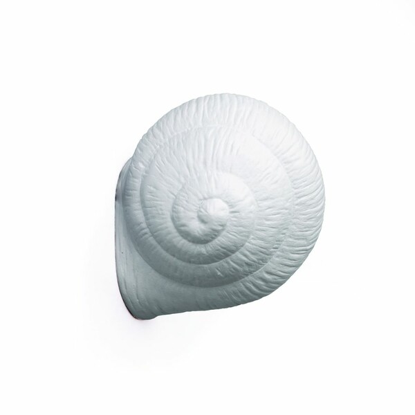 Big_veshalka_snail_sleepy_1