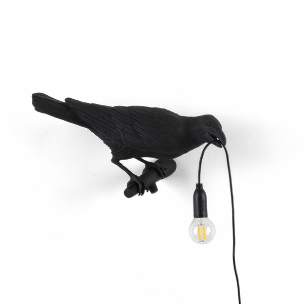 Big_nastennyy_svetilnik_bird_looking_right_black_1
