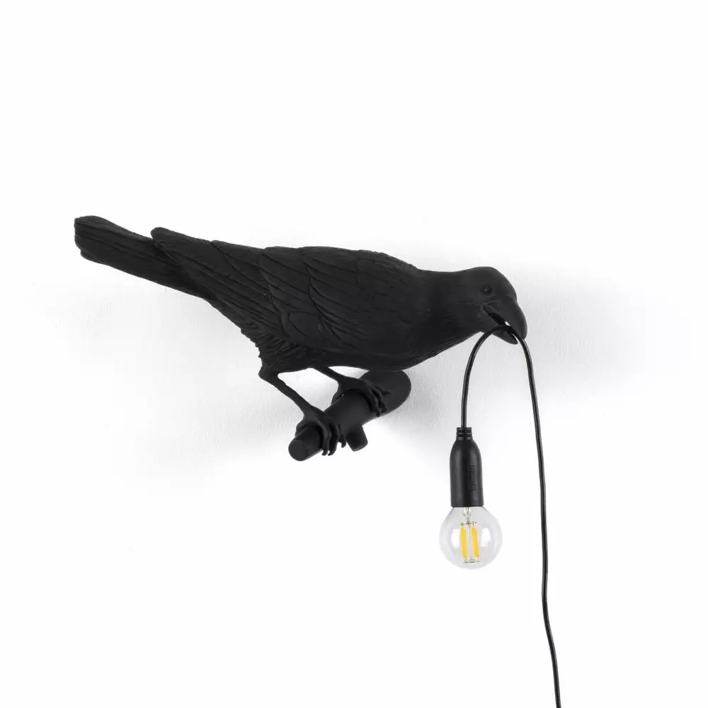 Big_nastennyy_svetilnik_bird_looking_right_black_1