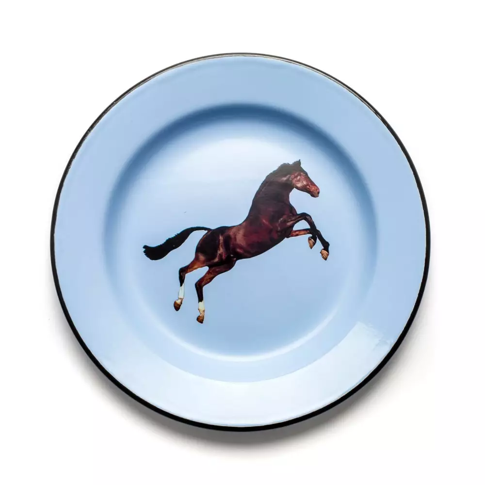 Big_tarelka_horse_1
