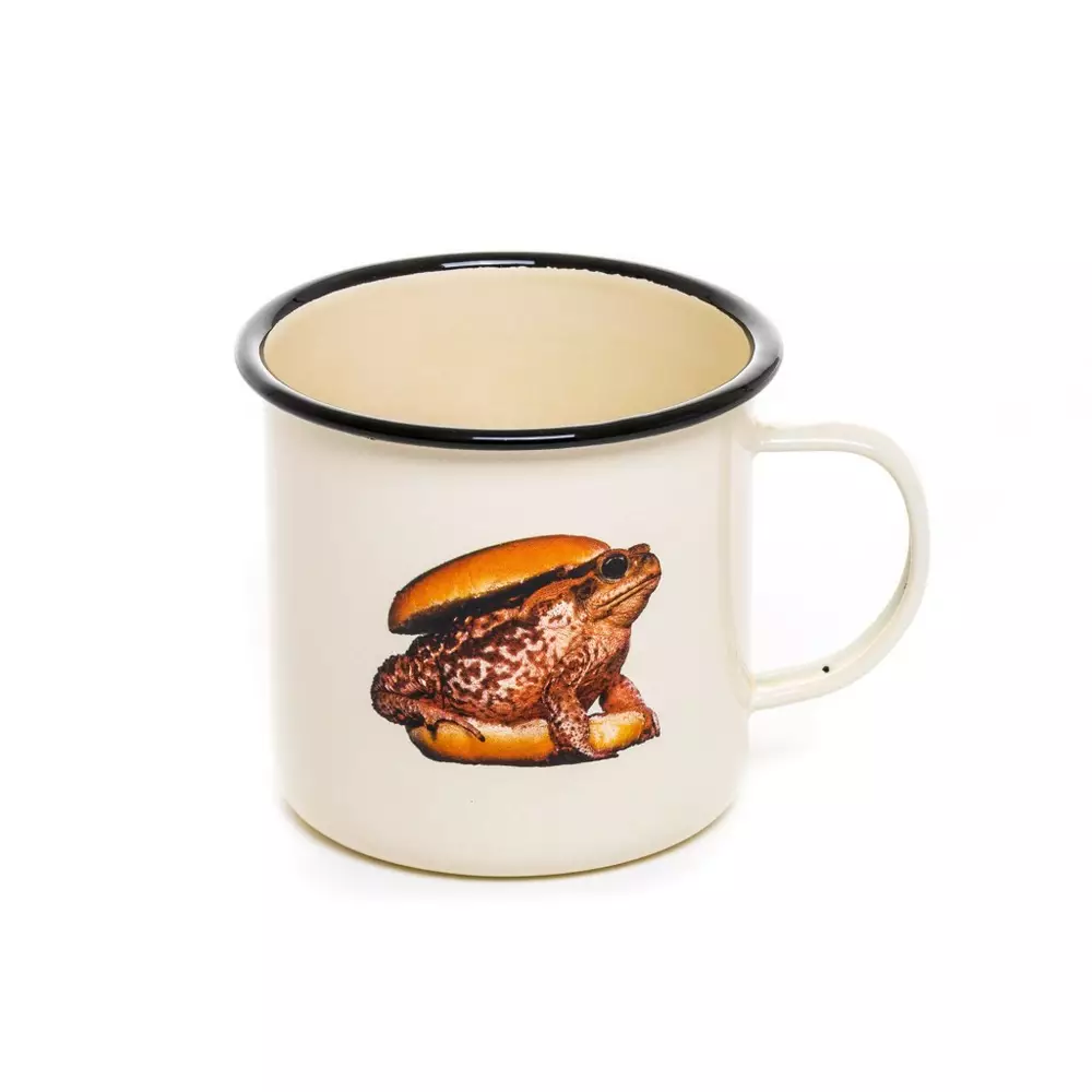 Big_kruzhka_toad_1