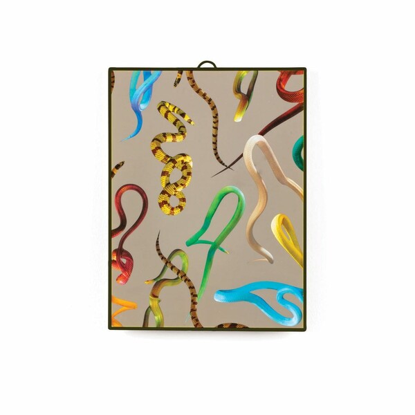 Big_zerkalo_snakes_medium_1