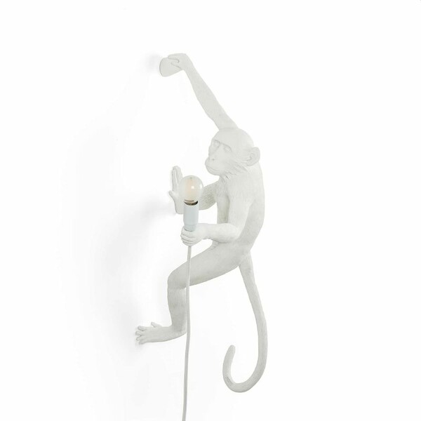 Big_nastennyy_svetilnik_monkey_lamp_outdoor_hanging_right_1