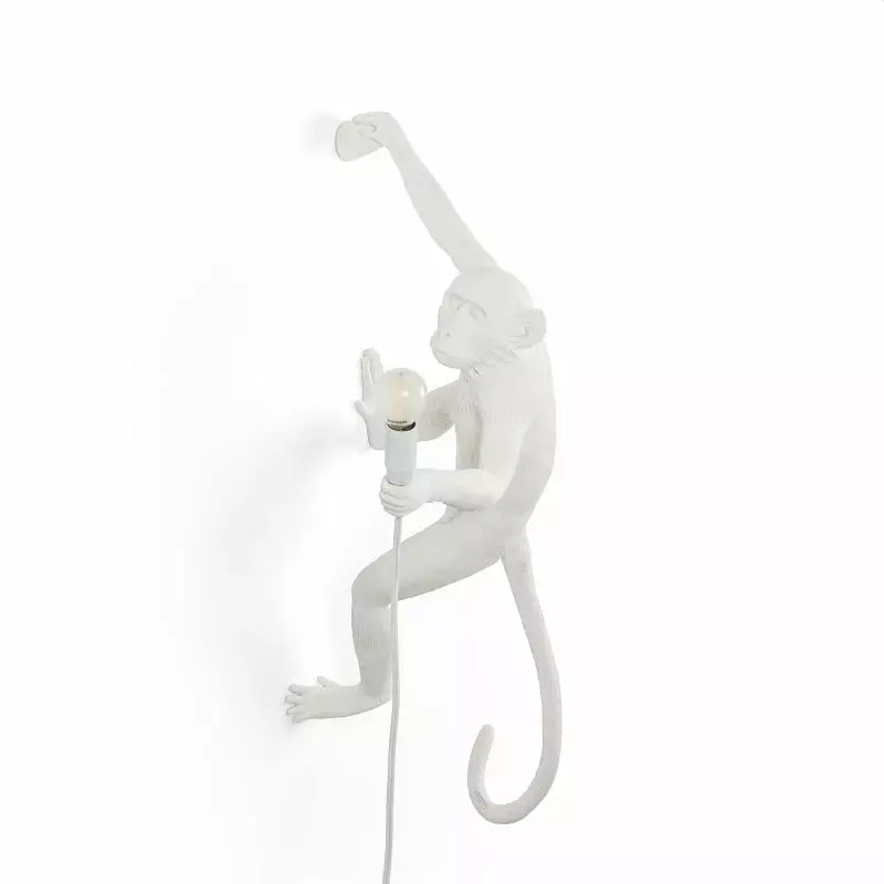 Big_nastennyy_svetilnik_monkey_lamp_outdoor_hanging_right_1