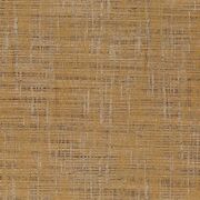 Thumb_ja7001_041_1