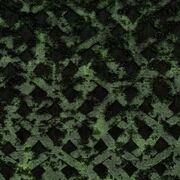 Thumb_1_4197_030_1