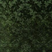 Thumb_1_4196_030_1