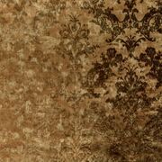 Thumb_1_4196_040_1