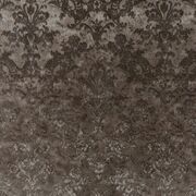 Thumb_1_4196_020_1