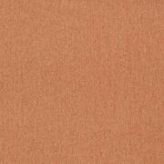 Thumb_f1570_11_1