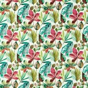 Thumb_f1521_01_1