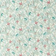 Thumb_f1513_04_1