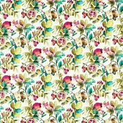 Thumb_f1516_01_1