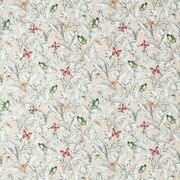 Thumb_f1513_01_1