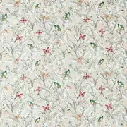 Thumb_f1513_01_1