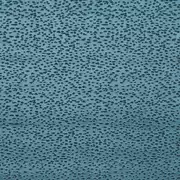 Thumb_f1564_09_1