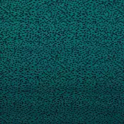 Thumb_f1564_05_1
