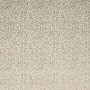 Thumb_f1564_07_1