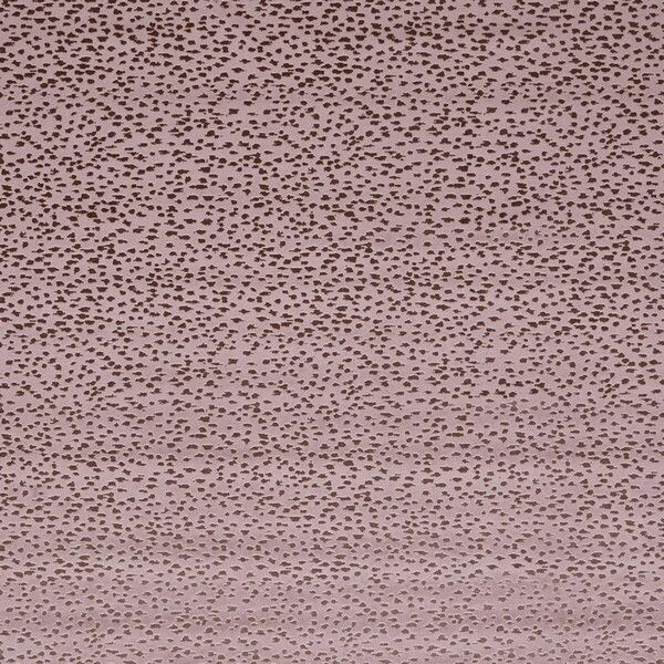 Big_f1564_03_1