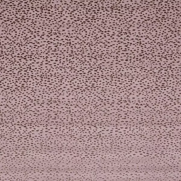 Big_f1564_03_1