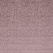 Thumb_f1564_03_1