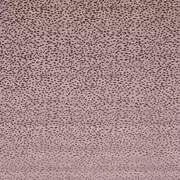 Thumb_f1564_03_1
