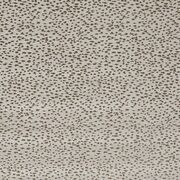 Thumb_f1564_08_1