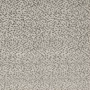 Thumb_f1564_08_1