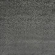 Thumb_f1564_01_1