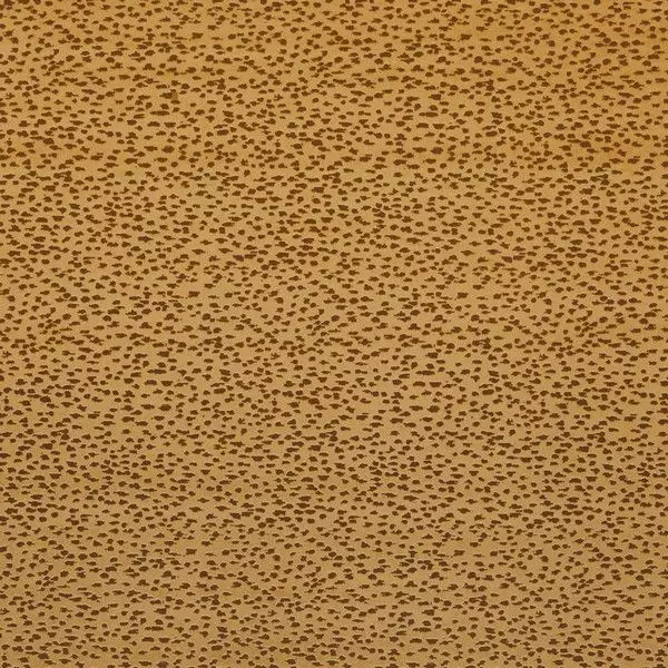 Big_f1564_02_1