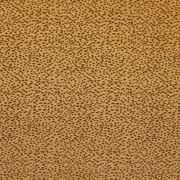 Thumb_f1564_02_1