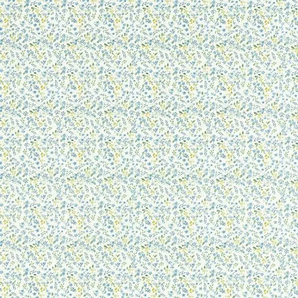 Big_f1534_01_1