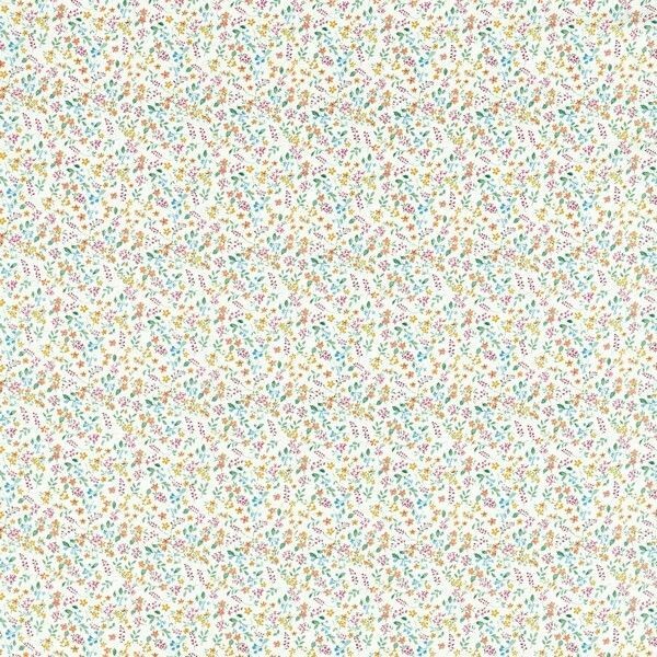 Big_f1534_03_1