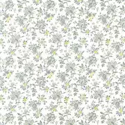 Thumb_f1533_01_1