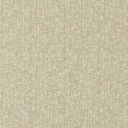 Thumb_f1529_01_1