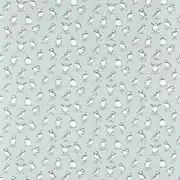 Thumb_f1531_05_1