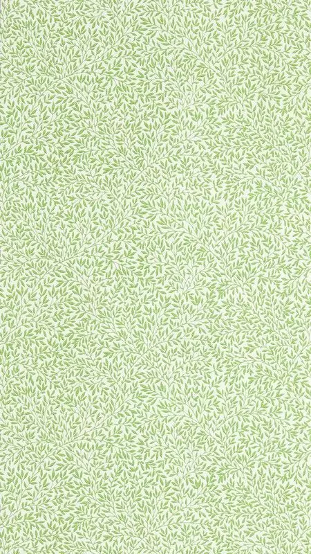 Big_217066_1