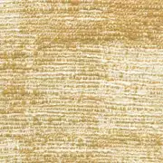 Thumb_chunga_yp20005_1