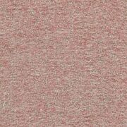 Thumb_kintore_yp19007_1