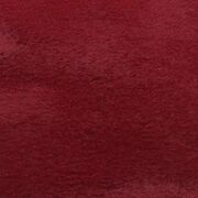 Thumb_milma_yp20006_1