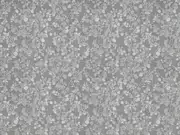 Thumb_2762_61_1