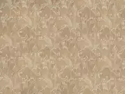 Thumb_2765_21_1