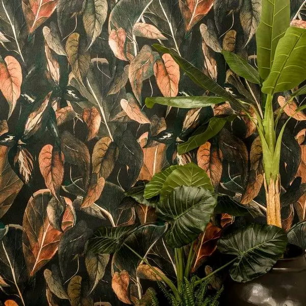 Big_ficus_expressive_1