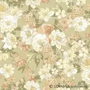 Thumb_v1_008_1