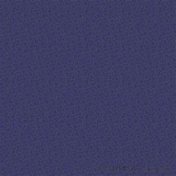 Big_v3_021_1