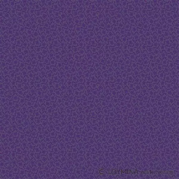 Big_v3_022_1