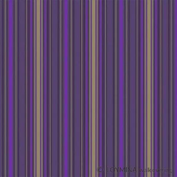 Big_v4_022_1