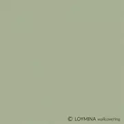 Thumb_v5_005_1_1
