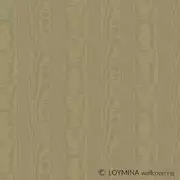 Thumb_v5_010_1