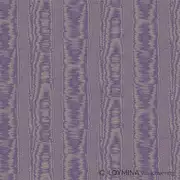Thumb_v5_022_1